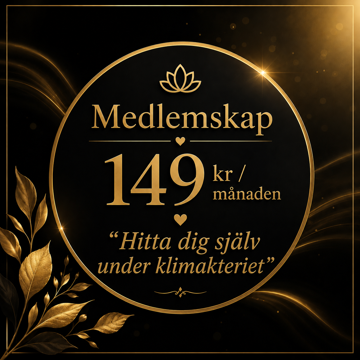 Medlemskap – Hitta dig själv i klimakteriet